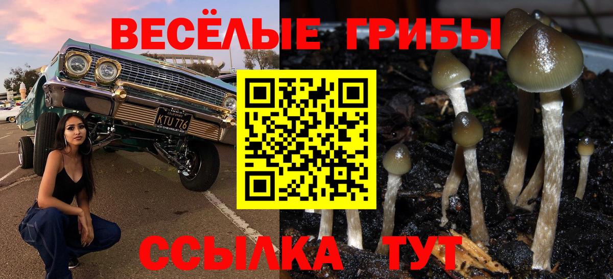 Галлюциногенные грибы Magic Shrooms Сосновый Бор