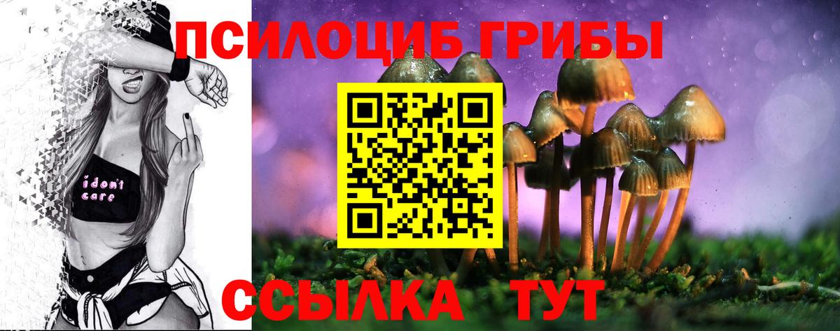 Галлюциногенные грибы MAGIC MUSHROOMS  Псилоцибиновые грибы MAGIC MUSHROOMS  Вход с VPN  Сосновый Бор 