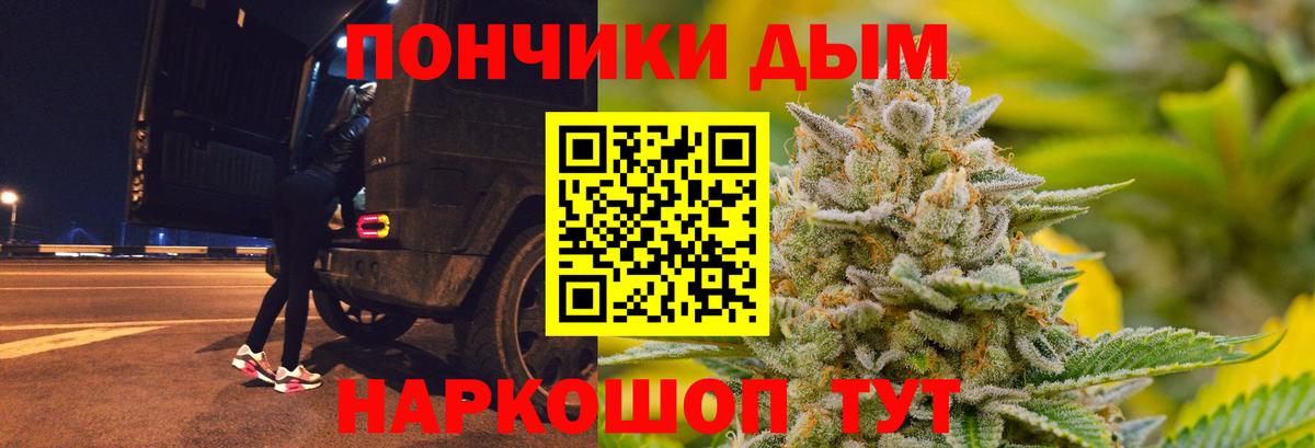 МАРИХУАНА сатива Сосновый Бор